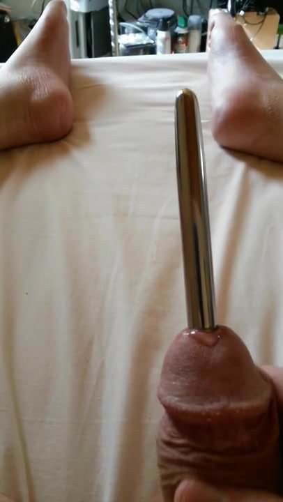 My Cock-Rod.mp4