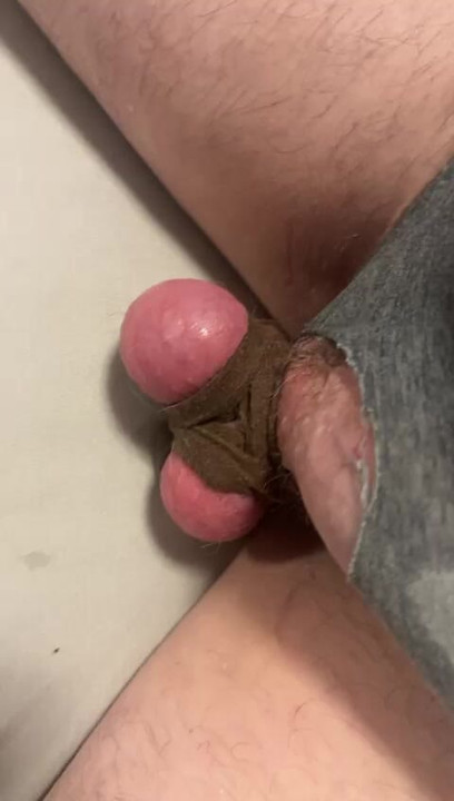 我为我的主人狠狠地抽打我的蛋蛋