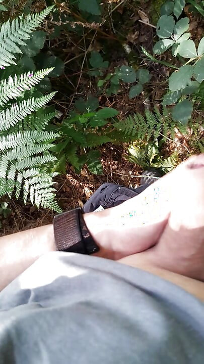 Quick jerk and cumshot in the woods