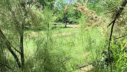 Fuck and cum in thong in public park summer