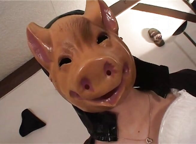 Piggy the cikgu