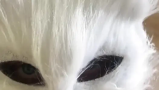 Сегодня я шаловливая кошечка, которая хочет молока