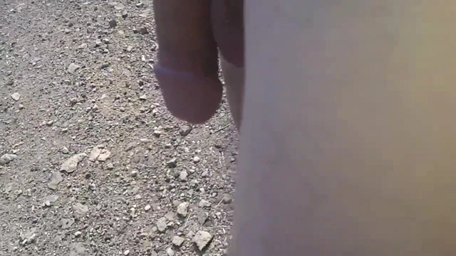 a quick flash at the side of the road