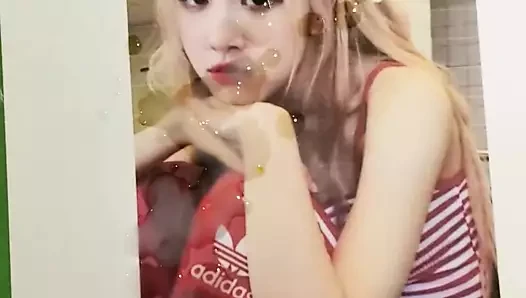 Blackpink rose boşalma haraç