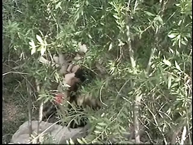 变态的故事5 - 探索幻想