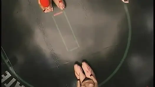 Crimson Ninja (0-0) Gegen lula (0-0)