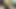 Indian boy masturbating