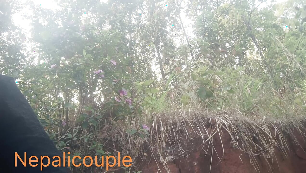 Bf le jangal ma chikna bolako jhadima chikaye