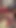 Kadın kılıklı merve rose bekaret kemeri dövmeli sarışın seksi tgirl femboy özel çoraplı leopar büyük zenci yarağıyla sikiliyor sert kedi kız travesti | Klip 2