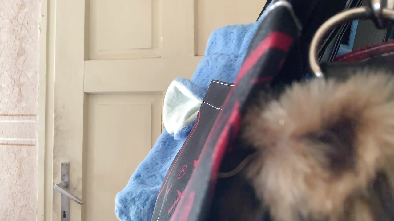 Metal μωρό δείχνει τα βυζιά της στο σπίτι