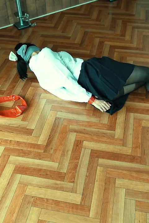 בריחה מריסון סרטים