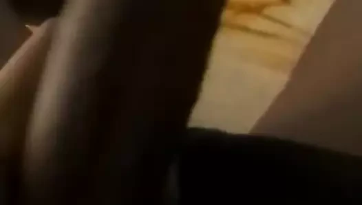 Rajboby
