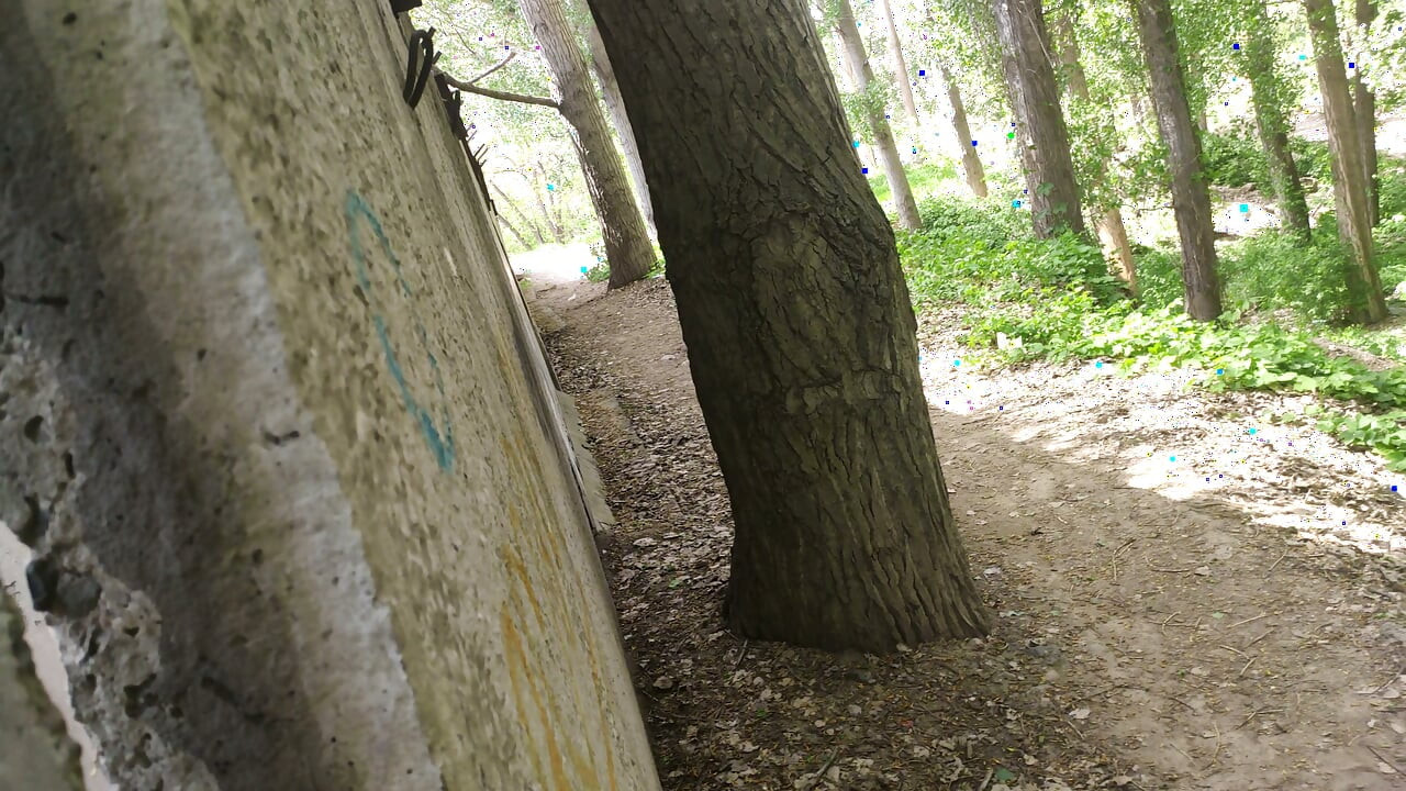 There's no one here! FAST Fuck me right here in the park!