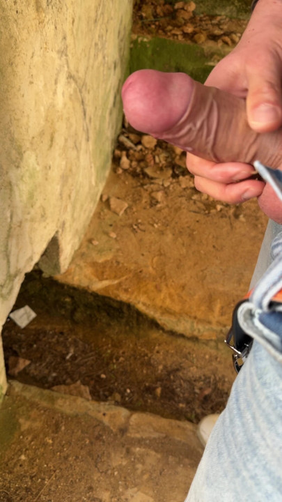 Γρήγορο χτύπημα στα ερείπια με χύσιμο, μεγάλο άκοπο πουλί