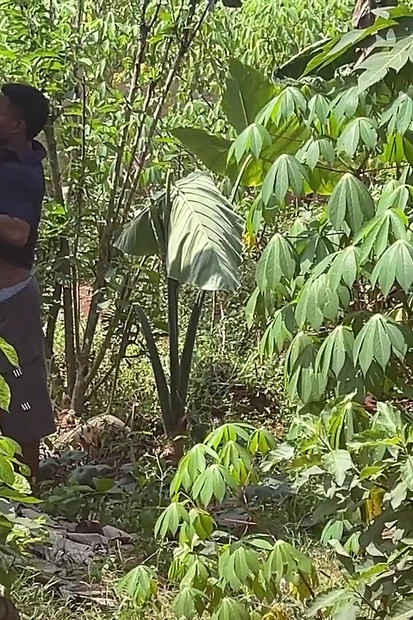 Jadi Cepat jadi tiada siapa yang akan menangkap kami (di sebalik tabir)