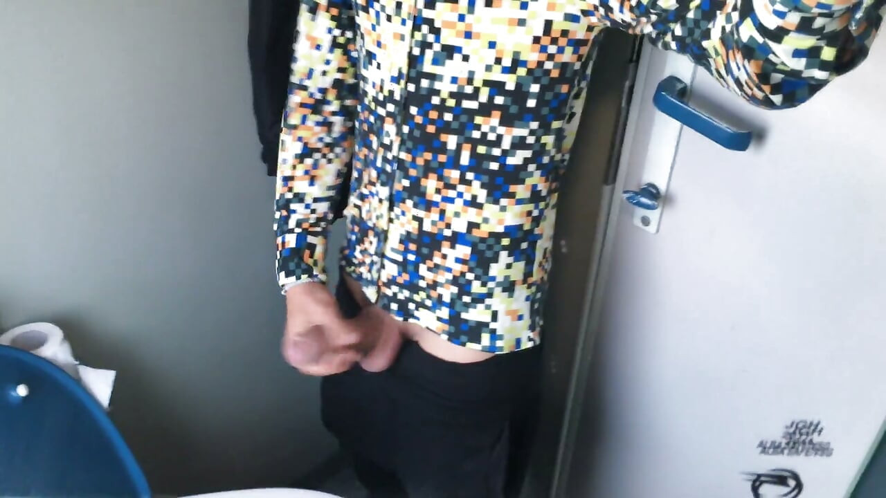 Jerk off at a Train Toilet