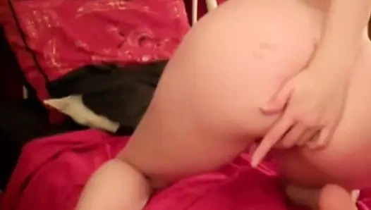 Kurvige freundin allein zu hause spaß