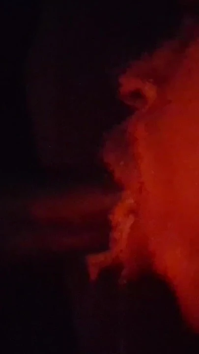 RED light special | Clip 1