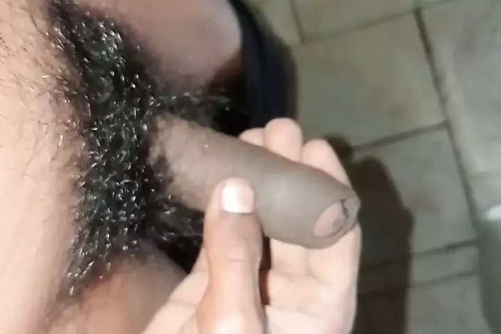 Indian desi boy land