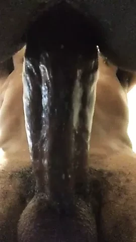 BBC Fucking Pussy