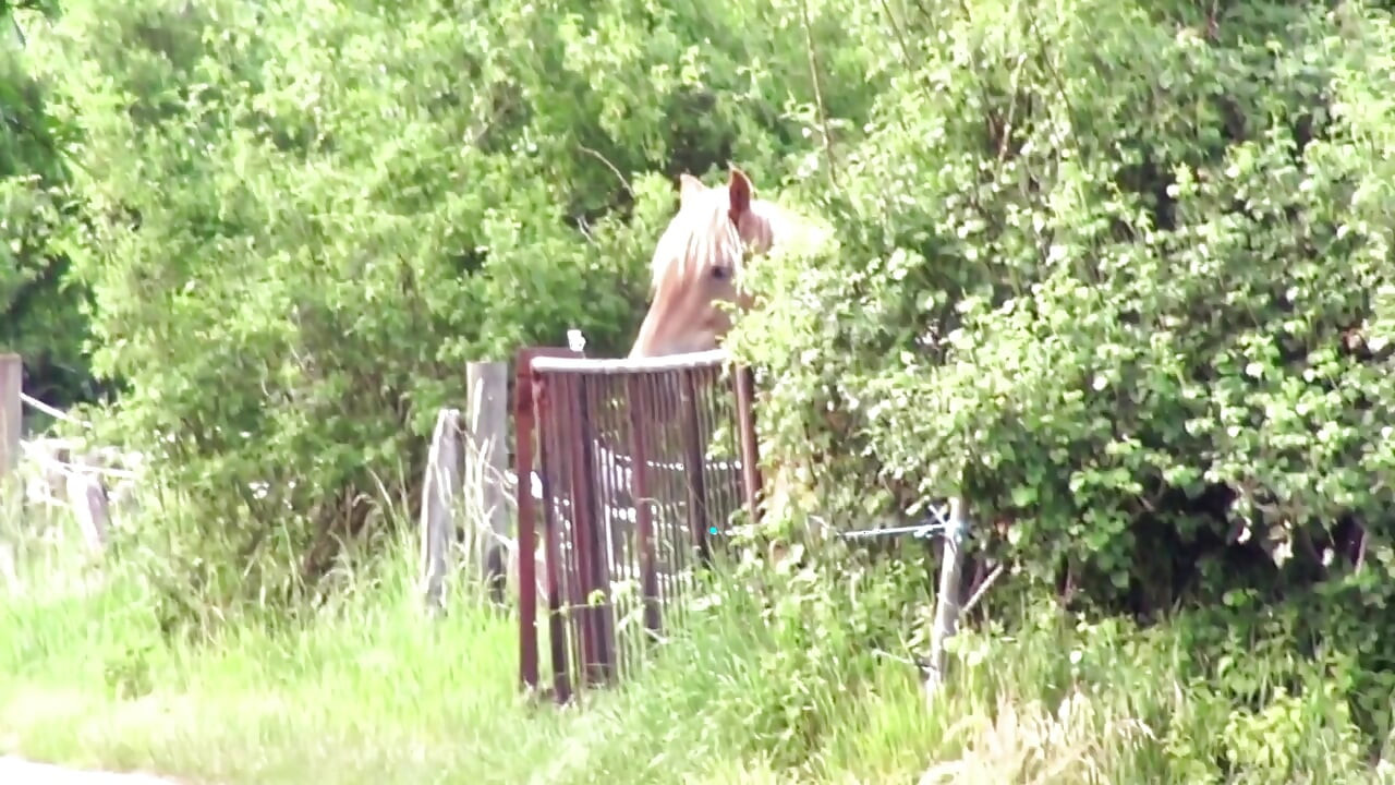 Brineta s velikom guzicom uživa u žestokom trojcu jebanju na otvorenom