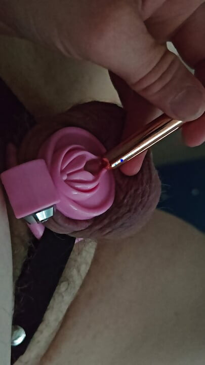 My orgasm from a remote control toy by people online in devon england