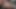 猫とコックのジムで興奮した美しさ