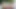 Doll Verse Gamplay with Sex Scene Part 16 V0.9