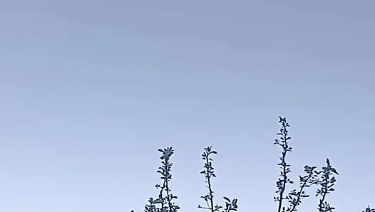 Part 2 - Desi outdoor sex with a stranger girl in the jungle.