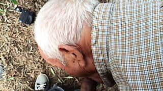 Sendo chupado por 83 anos