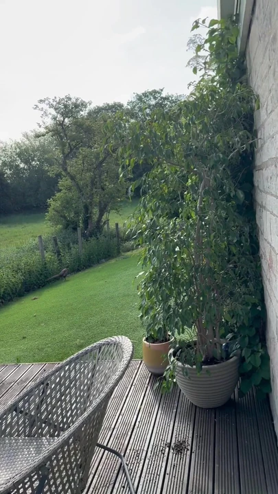 Erleben Sie Oxford Travel Tiktok