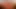 Vahşi doğada oral seks canavarları - porno sanatı
