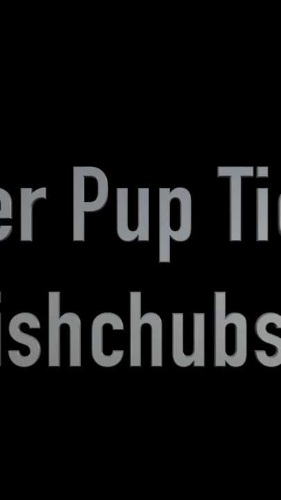 Teaming up to Tickle Ginger Pup