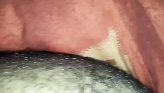 My pussy hair has grown long, I should clean it.