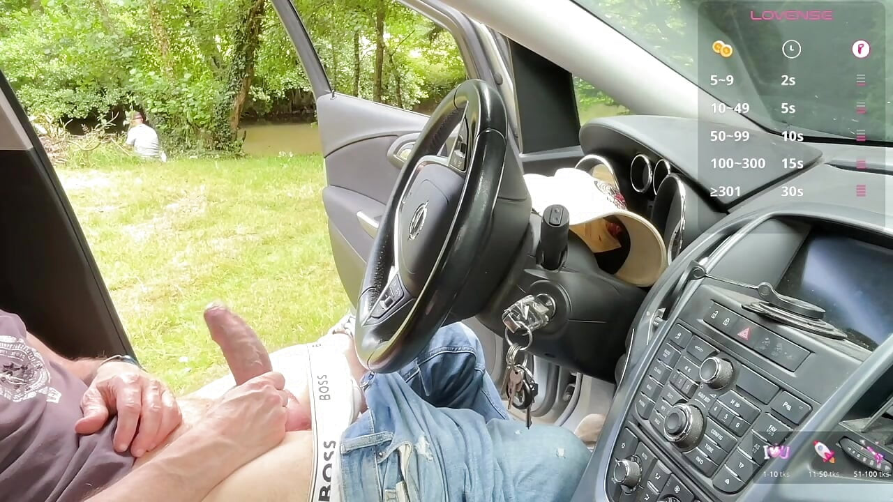 A Sunny Car Encounter