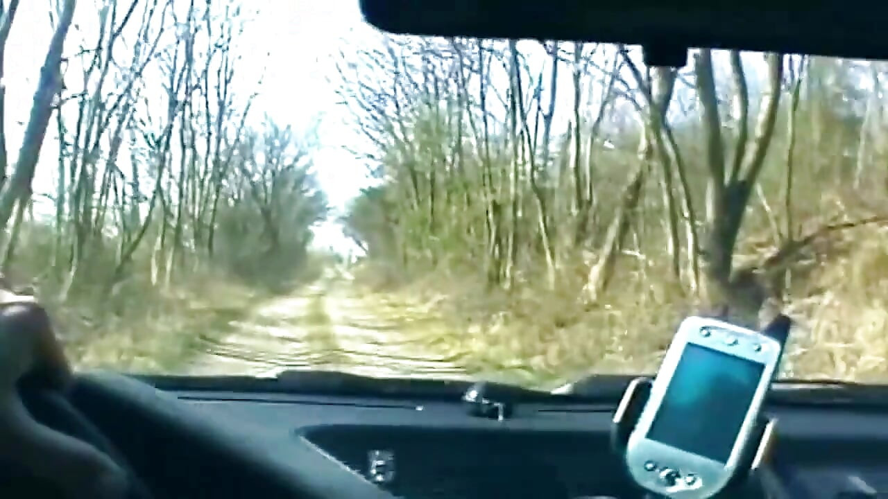 Блондинка сосет член и показывает мокрую киску в машине