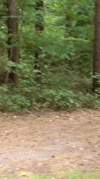 Iconic moment from "GERMAN TEEN IN REAL OUTDOOR FAN FUCK WITH TWO BIG DICK USER"