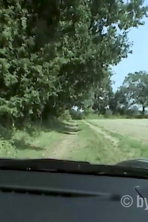 Car Sex with Oggy Style