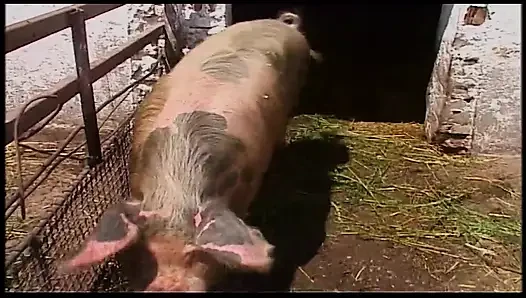 Retro blonde MILF beschämt in scheune und draußen