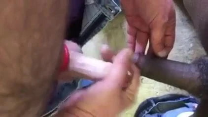 Atuk menghisap air maninya dari batang saya!