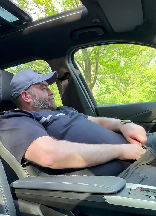 Bear almost got caught in the car