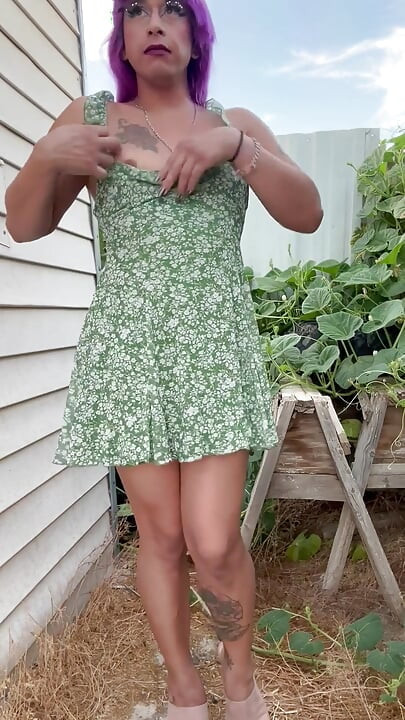 The Dirty Secret Garden