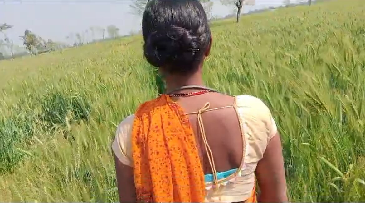 Une bhabhi desi se fait baiser dans un champ de blé par hasband