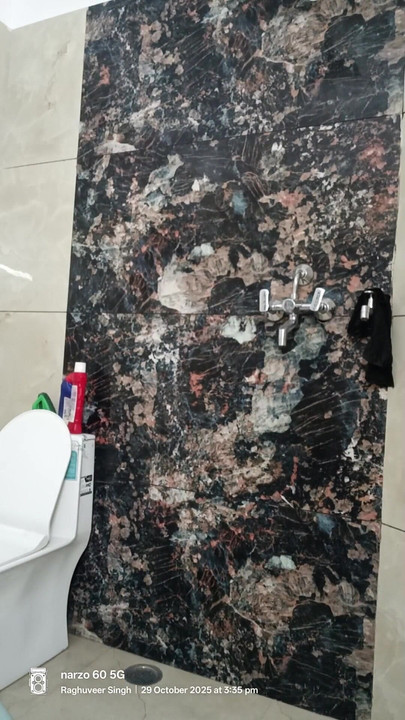 Sex within two love birds | Clip 1