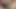 I Come Home and Suck My Boyfriend's Dick and Swallow It All