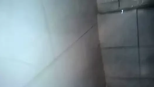 paja en el bano