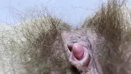 Kompilasi memek berbulu baru