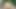 Sakura Kiryu esaret altındayken sert orta yaşlı seksi kadın oral zevk veriyor - akıllara durgunluk veren Japon yetişkin videosu!