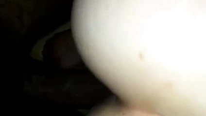 Pussy
