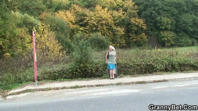 Guy picks up and doggy-fucks 60 years old blonde